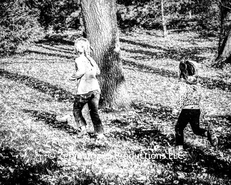 _81D2215 v1 BW