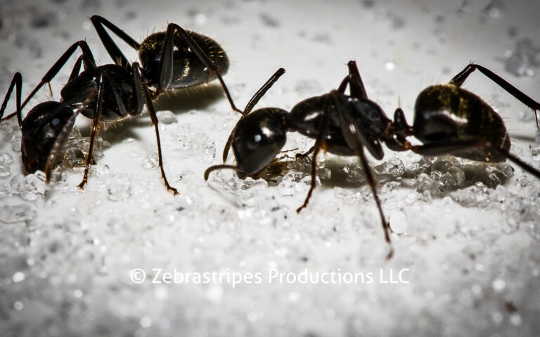 _DSC00082007.05.12_04_46_27