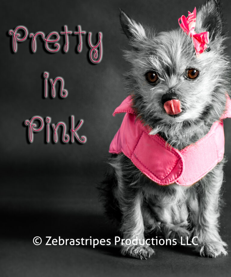 _DSC5306 v1 PrtyPink