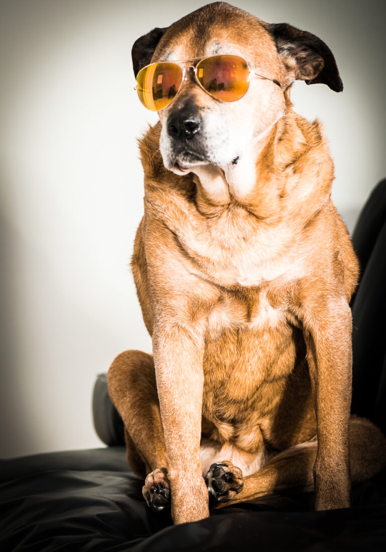 Grandpa Brutus _81D9997